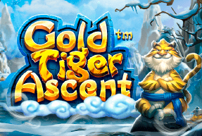 Gold Tiger Ascent